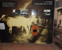 Buonconvento  2015 116